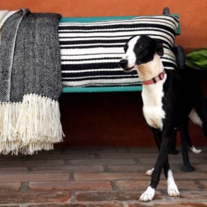 Harlequin Pattern Luxury Throw Blanket