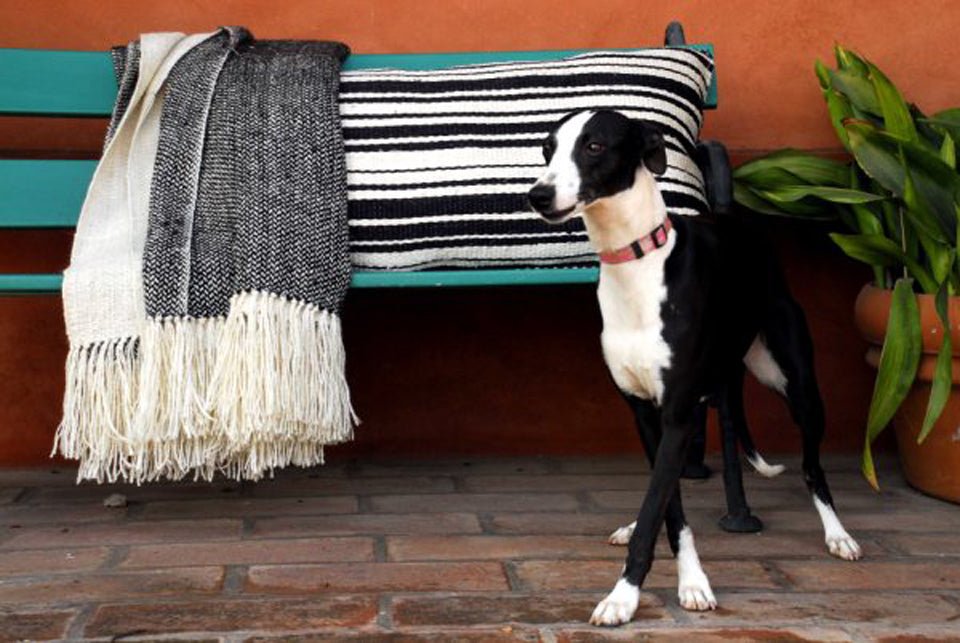 Harlequin Pattern Luxury Throw Blanket
