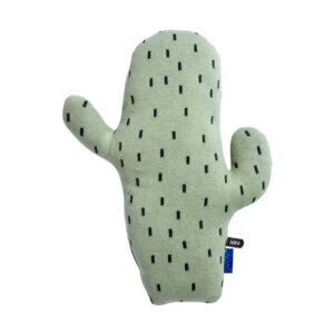 cactus Cushion